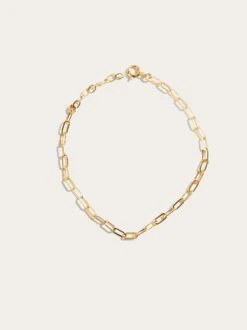 Essential Chain Bracelet -The Mist Sale Store EssentialChainBracelet Gold Able