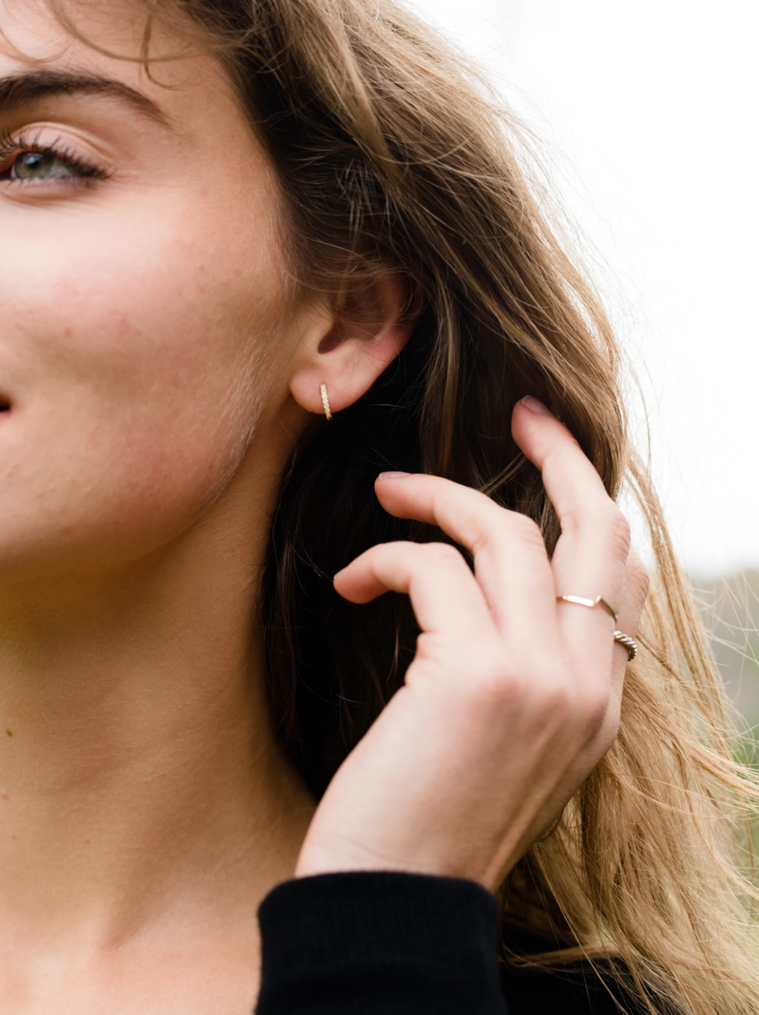 Harp Hinge Hoops 1 Harp Hinge Hoops