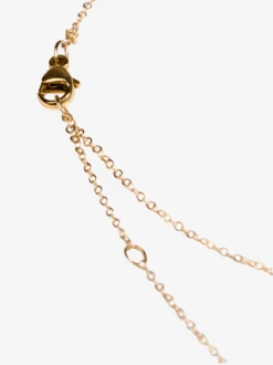 Mini Dog Tag Necklace -The Mist Sale Store MiniDogTag Gold ABLE 2